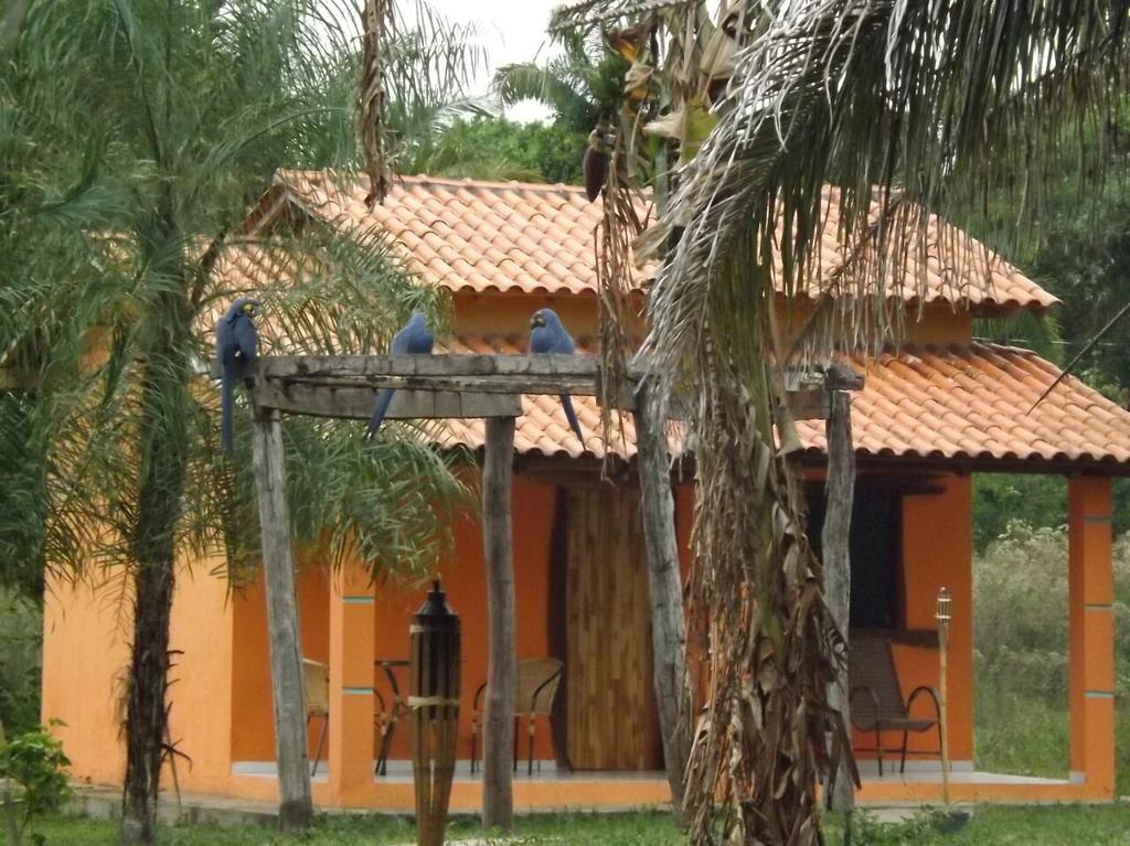Poconé Pousada Reserva Ecologica Jaguar מראה חיצוני תמונה